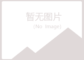 西山区敷衍会计有限公司